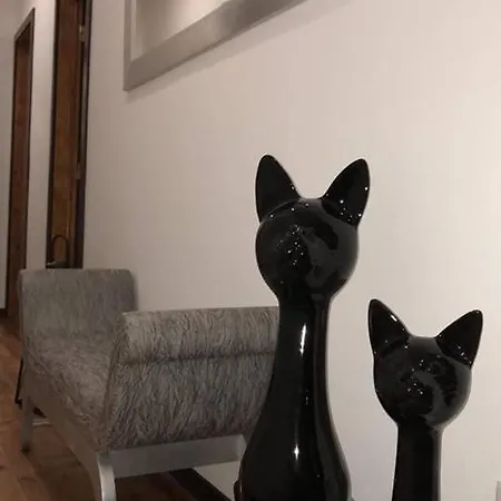 Хостел Casa Do Gato