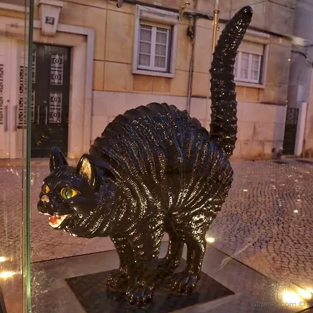 Casa Do Gato Калдаш-да-Раинья