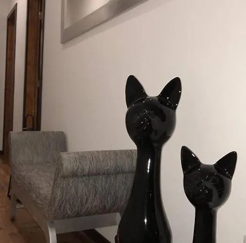 Хостел Casa Do Gato