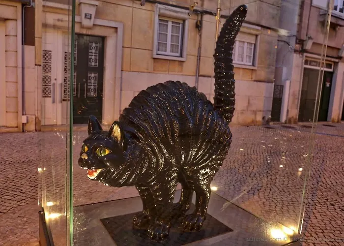 Casa Do Gato Калдаш-да-Раинья